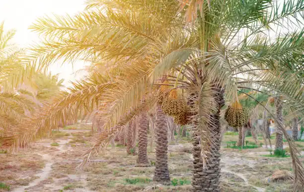 CLS 63 AMG: القوة والفخامة في تصميم أنيق